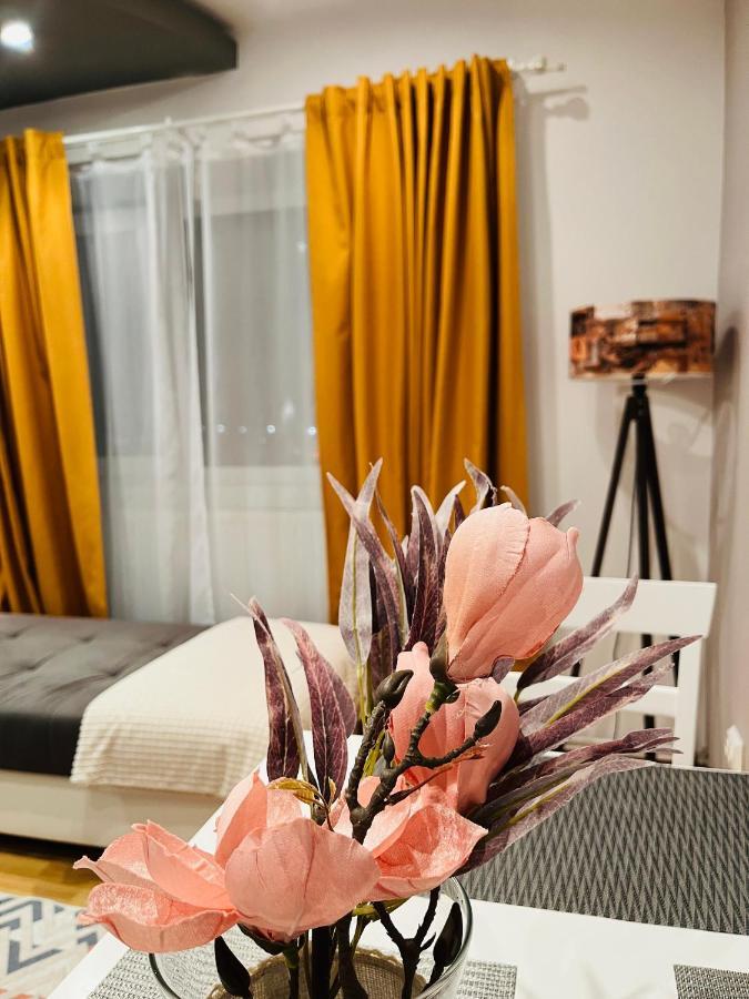 Confort View Apartment Iasi - 3 Rooms-Like Home エクステリア 写真